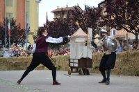 Torneo di Duello Storico