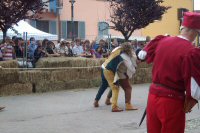 Torneo di Duello Storico