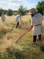 Archeodromo di Poggibonsi